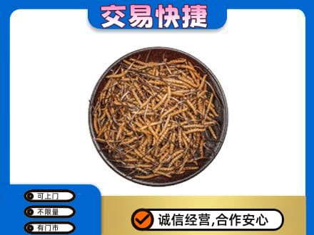 未央区回收散虫草